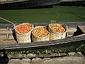 P1160160