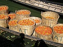 P1160162