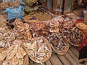 P1160171