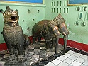 P1100197