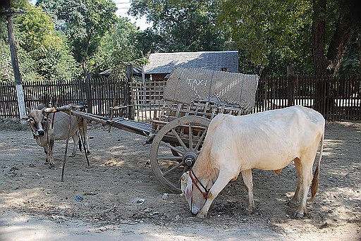 DSC_0402.JPG - Taxi.