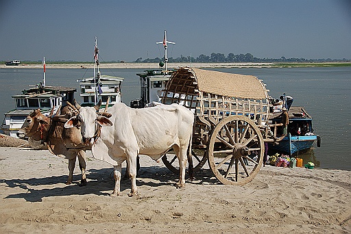 DSC_0425.JPG