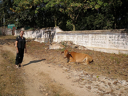 P1110016.JPG