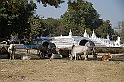 DSC_0421