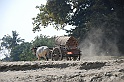 DSC_0439