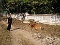 P1110016