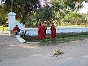 P1090168