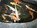 P1120031