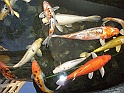 P1120032