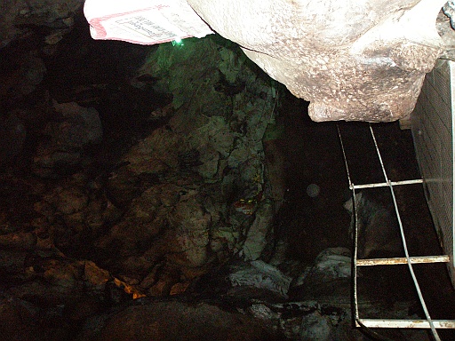 P1130081.JPG