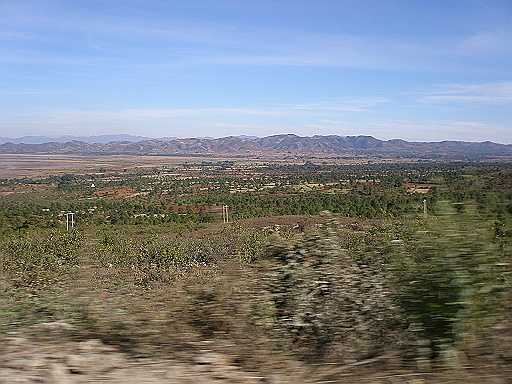 P1130084.JPG