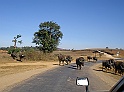 P1130072