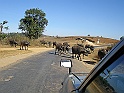 P1130073
