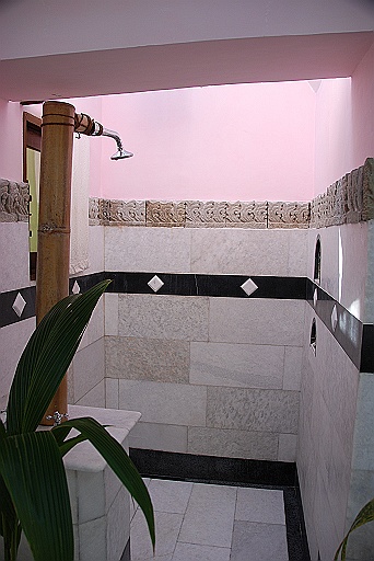 DSC_0124.JPG - Very large shower. Look at the tap !