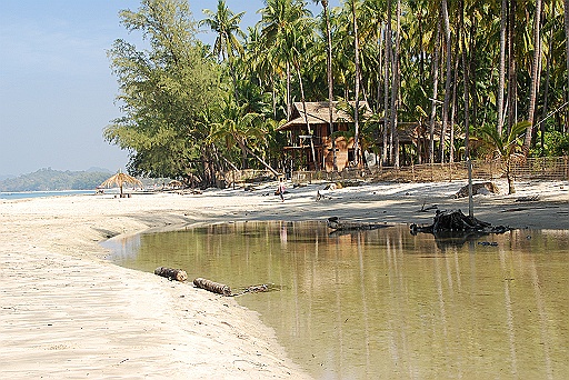 DSC_0220.JPG