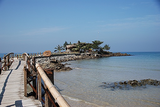 DSC_0230.JPG