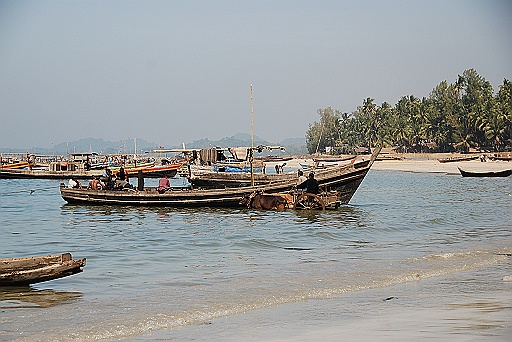 DSC_0264.JPG