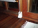 P1190254