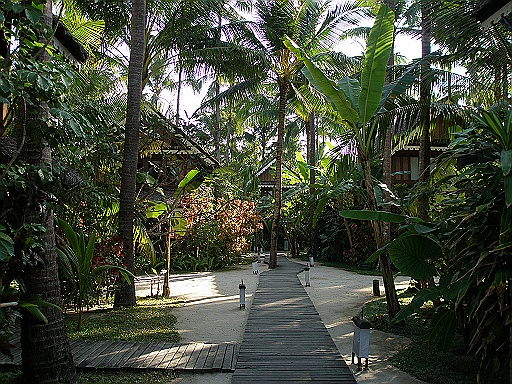 P1200290.JPG
