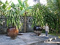 P1200274