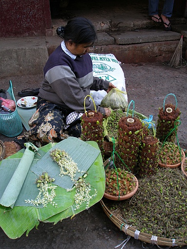P1210351.JPG