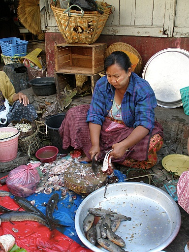 P1210354.JPG