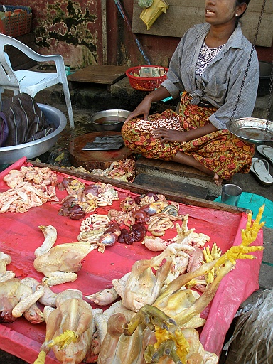 P1210355.JPG