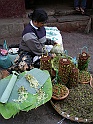 P1210351
