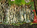 P1210357