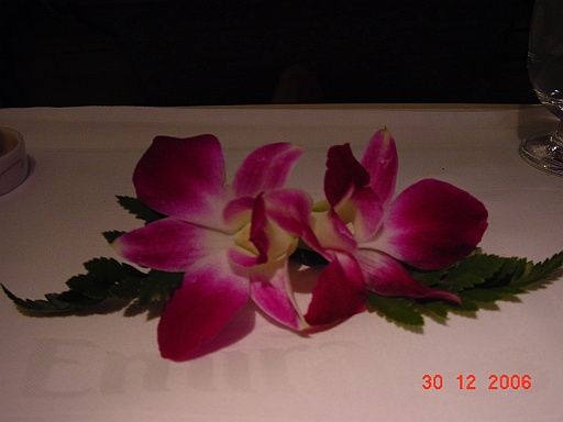 DSC00152.JPG
